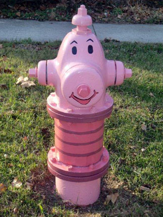 Washington and Yale - Piglet